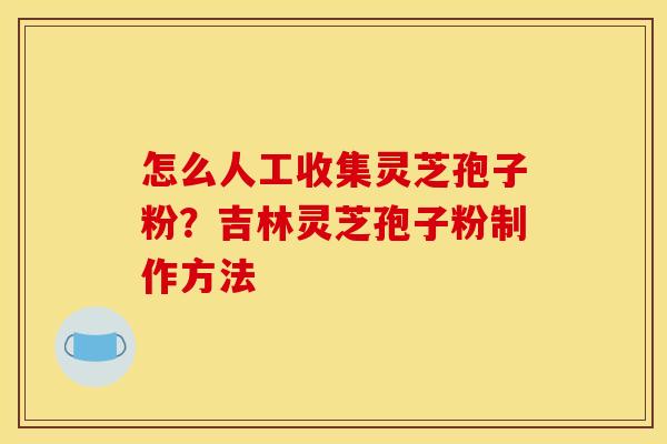 怎么人工收集灵芝孢子粉？吉林灵芝孢子粉制作方法