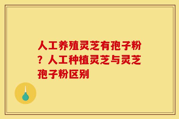 人工养殖灵芝有孢子粉？人工种植灵芝与灵芝孢子粉区别
