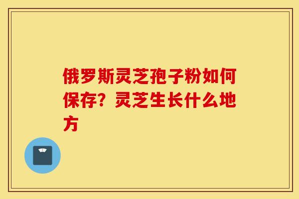 俄罗斯灵芝孢子粉如何保存？灵芝生长什么地方
