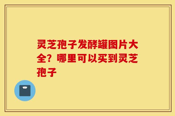 灵芝孢子发酵罐图片大全？哪里可以买到灵芝孢子