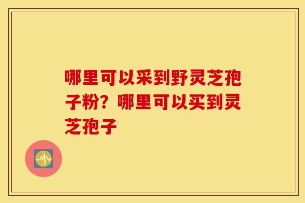 哪里可以采到野灵芝孢子粉？哪里可以买到灵芝孢子