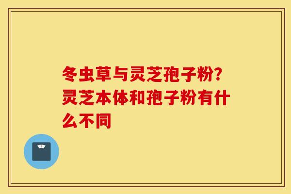 冬虫草与灵芝孢子粉？灵芝本体和孢子粉有什么不同