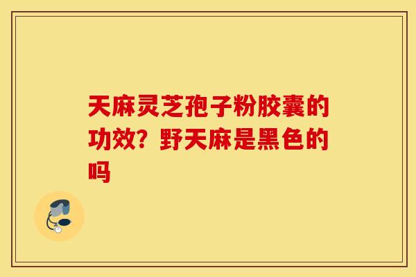 天麻灵芝孢子粉胶囊的功效？野天麻是黑色的吗