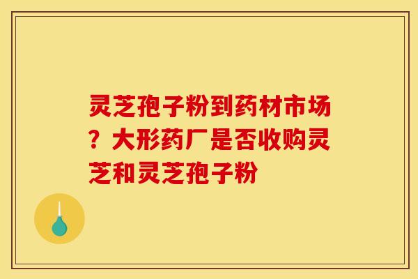 灵芝孢子粉到药材市场？大形药厂是否收购灵芝和灵芝孢子粉