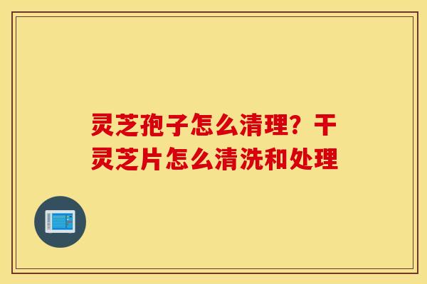 灵芝孢子怎么清理？干灵芝片怎么清洗和处理