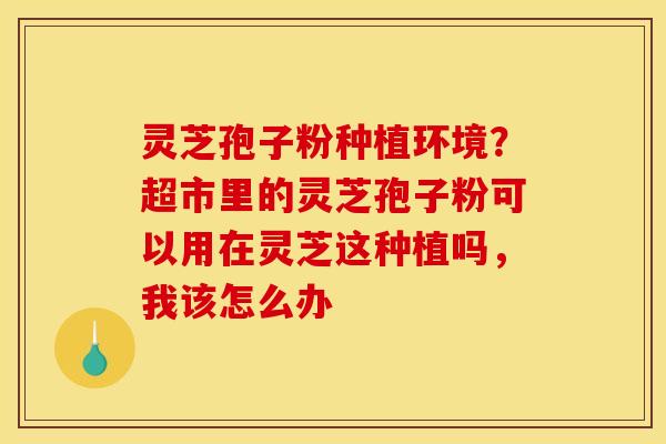 灵芝孢子粉种植环境？超市里的灵芝孢子粉可以用在灵芝这种植吗，我该怎么办