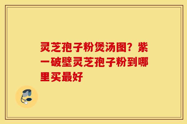 灵芝孢子粉煲汤图？紫一破壁灵芝孢子粉到哪里买最好