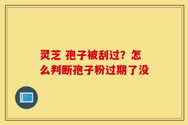灵芝 孢子被刮过？怎么判断孢子粉过期了没