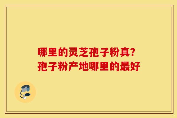 哪里的灵芝孢子粉真？孢子粉产地哪里的最好
