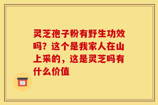 灵芝孢子粉有野生功效吗？这个是我家人在山上采的，这是灵芝吗有什么价值