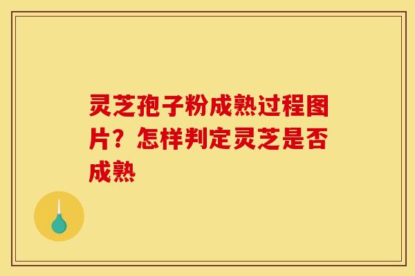灵芝孢子粉成熟过程图片？怎样判定灵芝是否成熟