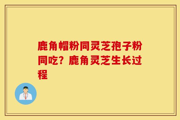 鹿角帽粉同灵芝孢子粉同吃？鹿角灵芝生长过程