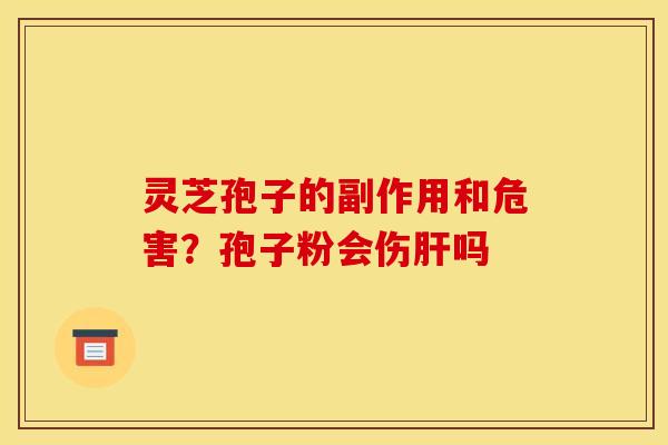 灵芝孢子的副作用和危害？孢子粉会伤肝吗