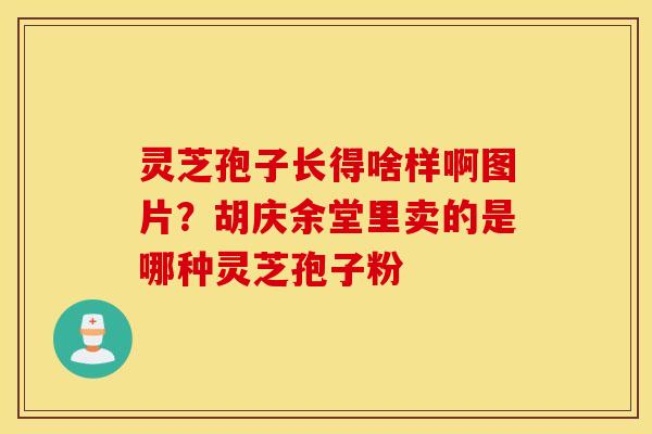 灵芝孢子长得啥样啊图片？胡庆余堂里卖的是哪种灵芝孢子粉