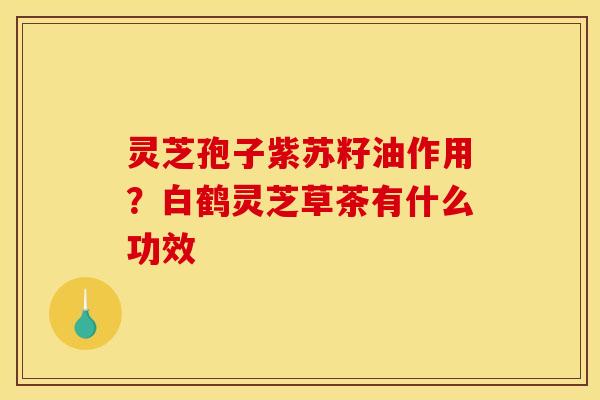 灵芝孢子紫苏籽油作用？白鹤灵芝草茶有什么功效