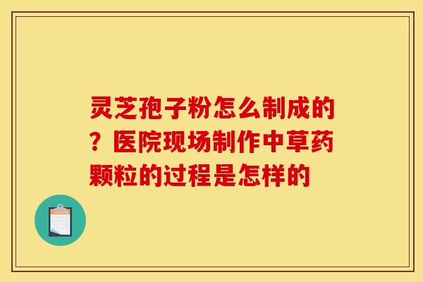 灵芝孢子粉怎么制成的？医院现场制作中草药颗粒的过程是怎样的