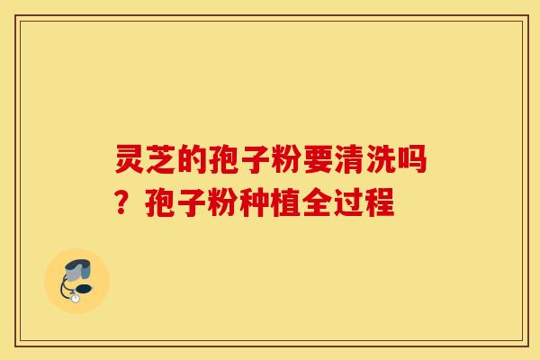 灵芝的孢子粉要清洗吗？孢子粉种植全过程