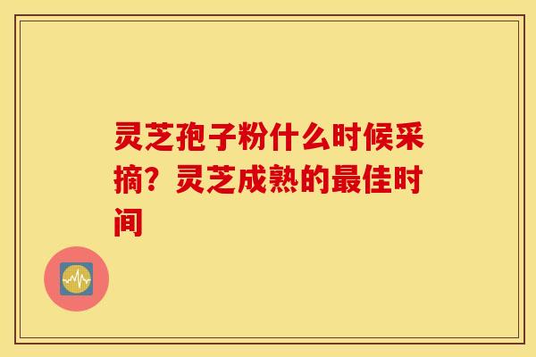 灵芝孢子粉什么时候采摘？灵芝成熟的最佳时间