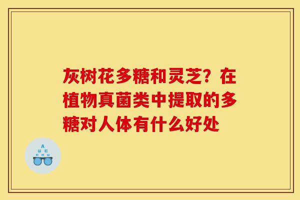 灰树花多糖和灵芝？在植物真菌类中提取的多糖对人体有什么好处