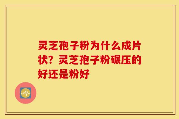 灵芝孢子粉为什么成片状？灵芝孢子粉碾压的好还是粉好