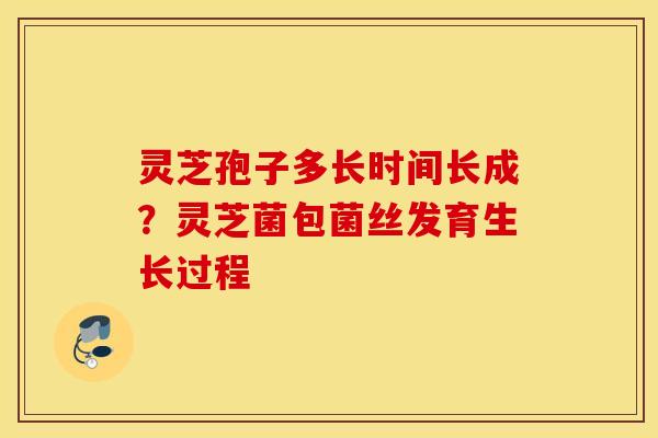 灵芝孢子多长时间长成？灵芝菌包菌丝发育生长过程