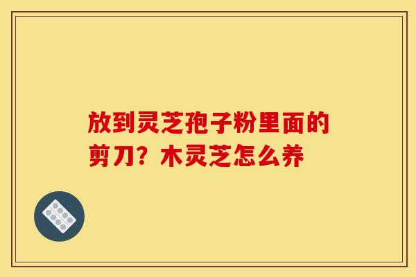 放到灵芝孢子粉里面的剪刀？木灵芝怎么养