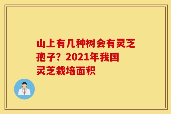 山上有几种树会有灵芝孢子？2021年我国灵芝栽培面积