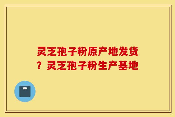 灵芝孢子粉原产地发货？灵芝孢子粉生产基地