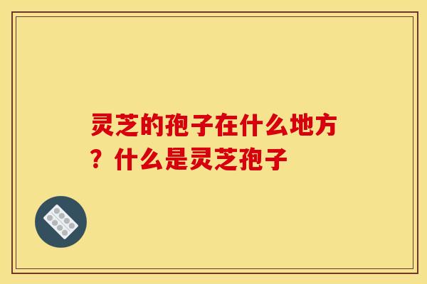 灵芝的孢子在什么地方？什么是灵芝孢子