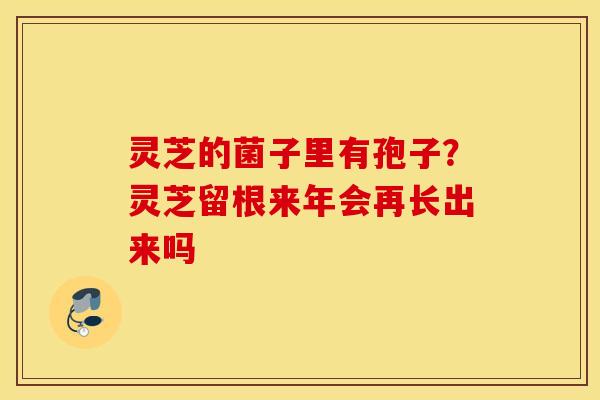 灵芝的菌子里有孢子？灵芝留根来年会再长出来吗