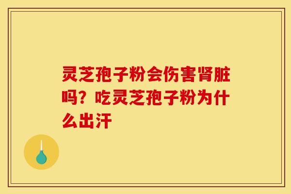 灵芝孢子粉会伤害肾脏吗？吃灵芝孢子粉为什么出汗
