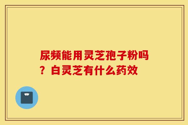尿频能用灵芝孢子粉吗？白灵芝有什么药效