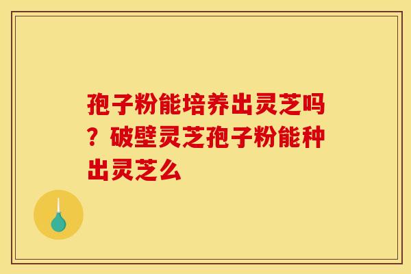 孢子粉能培养出灵芝吗？破壁灵芝孢子粉能种出灵芝么