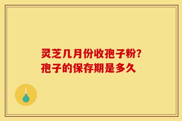 灵芝几月份收孢子粉？孢子的保存期是多久