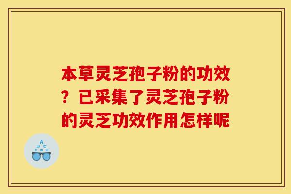 本草灵芝孢子粉的功效？已采集了灵芝孢子粉的灵芝功效作用怎样呢