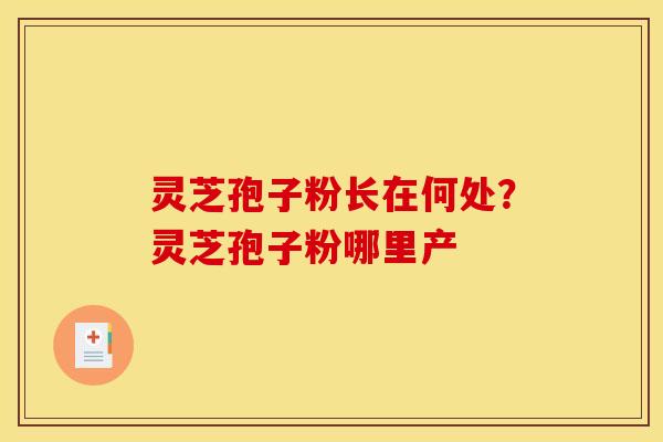 灵芝孢子粉长在何处？灵芝孢子粉哪里产