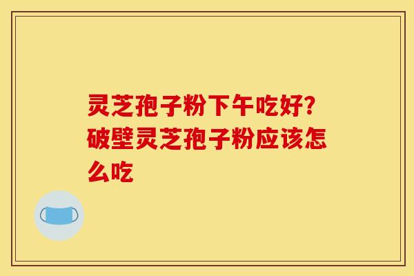 灵芝孢子粉下午吃好？破壁灵芝孢子粉应该怎么吃