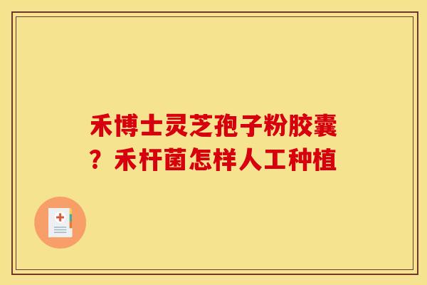 禾博士灵芝孢子粉胶囊？禾杆菌怎样人工种植