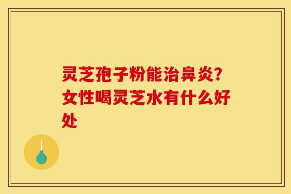 灵芝孢子粉能治鼻炎？女性喝灵芝水有什么好处