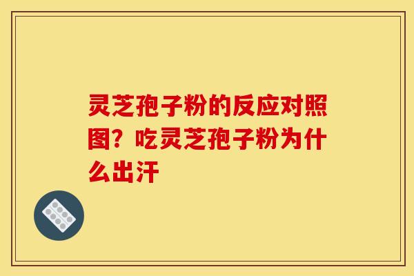 灵芝孢子粉的反应对照图？吃灵芝孢子粉为什么出汗