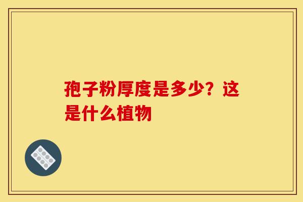 孢子粉厚度是多少？这是什么植物