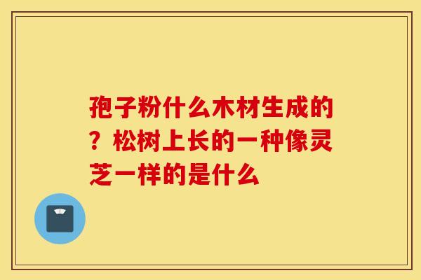 孢子粉什么木材生成的？松树上长的一种像灵芝一样的是什么