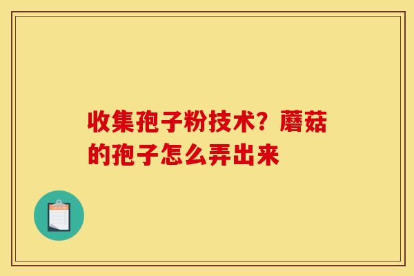 收集孢子粉技术？蘑菇的孢子怎么弄出来