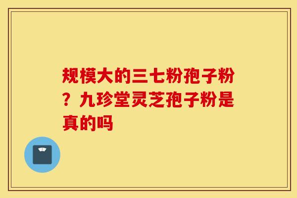 规模大的三七粉孢子粉？九珍堂灵芝孢子粉是真的吗