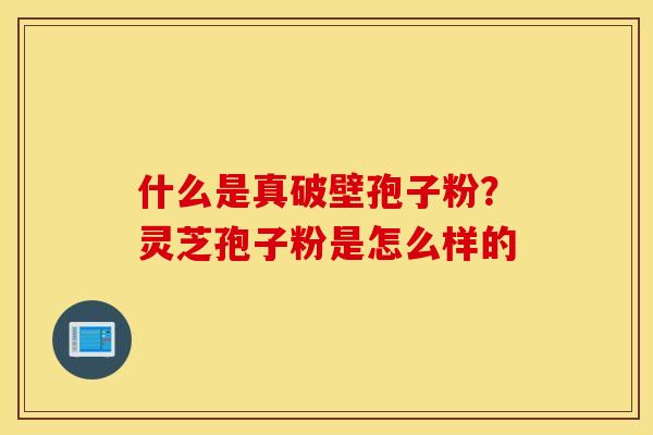什么是真破壁孢子粉？灵芝孢子粉是怎么样的