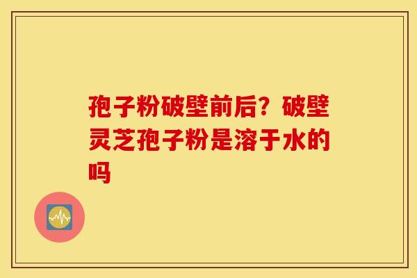 孢子粉破壁前后？破壁灵芝孢子粉是溶于水的吗