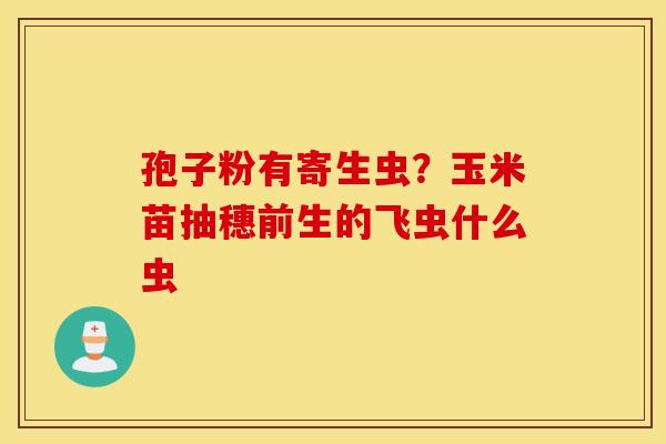 孢子粉有寄生虫？玉米苗抽穗前生的飞虫什么虫