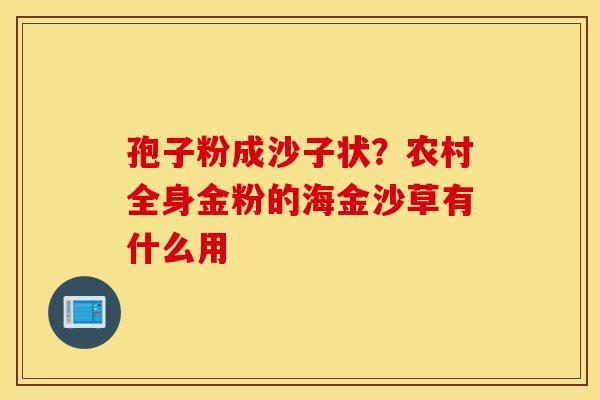 孢子粉成沙子状？农村全身金粉的海金沙草有什么用