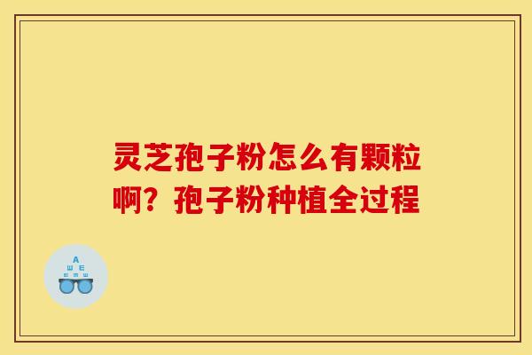 灵芝孢子粉怎么有颗粒啊？孢子粉种植全过程