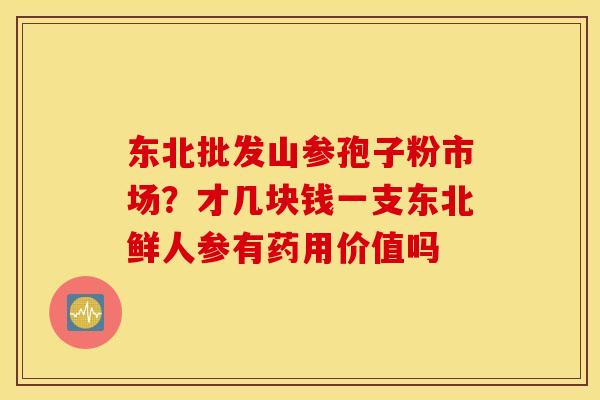 东北批发山参孢子粉市场？才几块钱一支东北鲜人参有药用价值吗